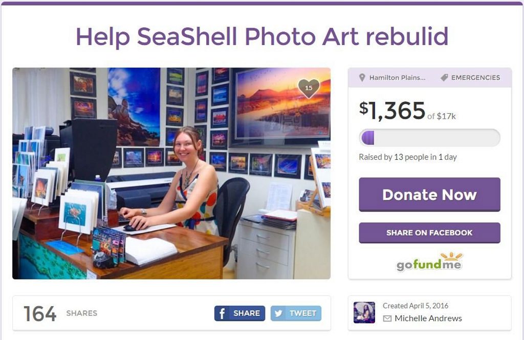 SeaShell Photo Gallery's GoFundMe page.
